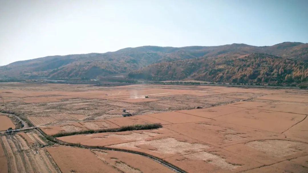 95后创业小伙回老家,95后小伙回国创业