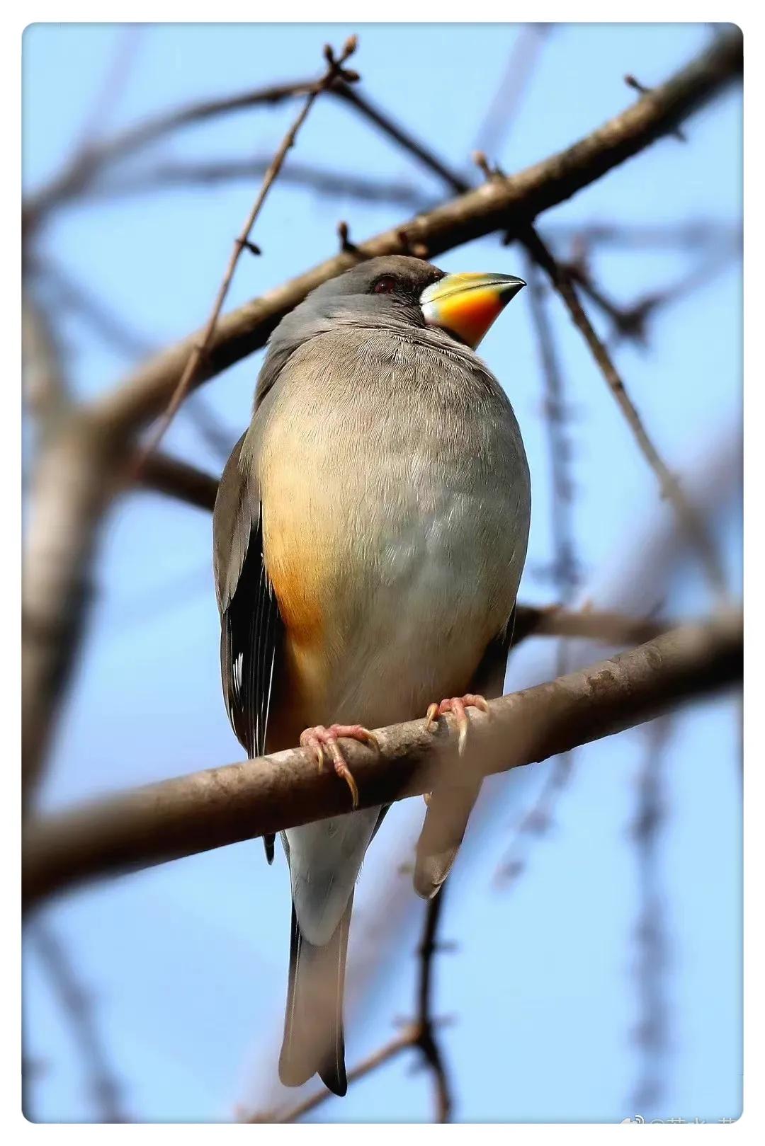 上海市嘉定区安亭国际汽车城,上海嘉定安亭国际汽车城