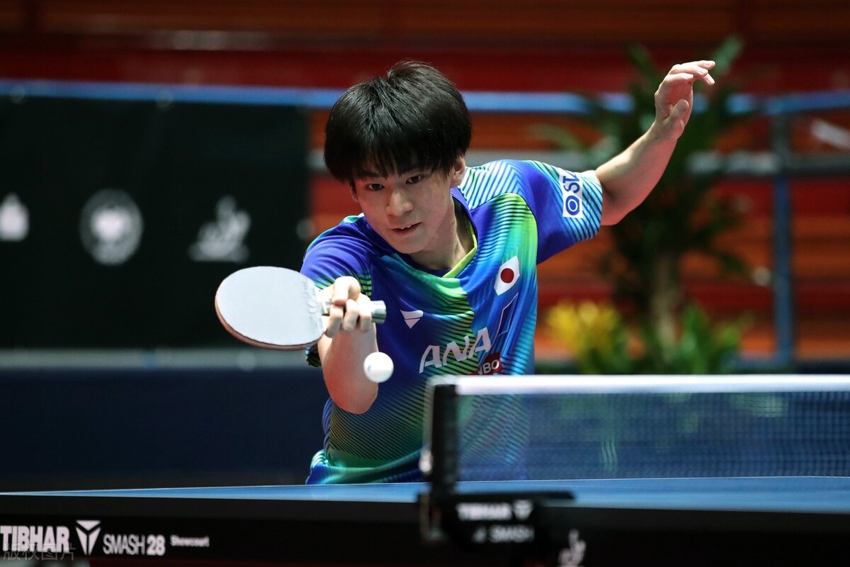 张本智和日本32强赛夺冠,世乒赛日本张本智和输给谁