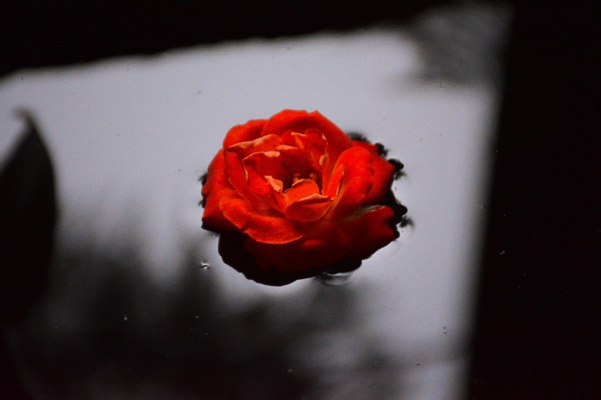 生活现象冷知识,生活中那些冷知识