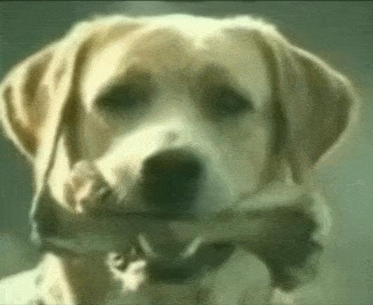 泰国再出了一条逆天广告,泰国因为什么出名