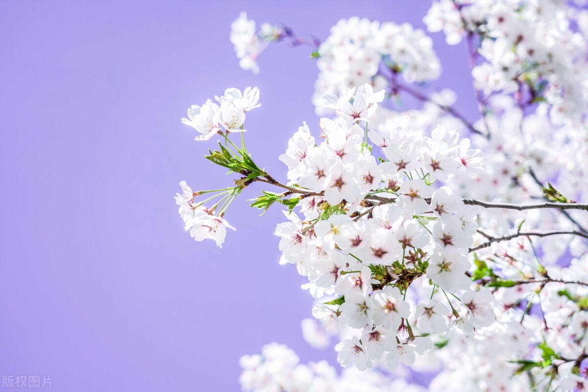 40种改变自己生活方法,改变自己的30个小习惯