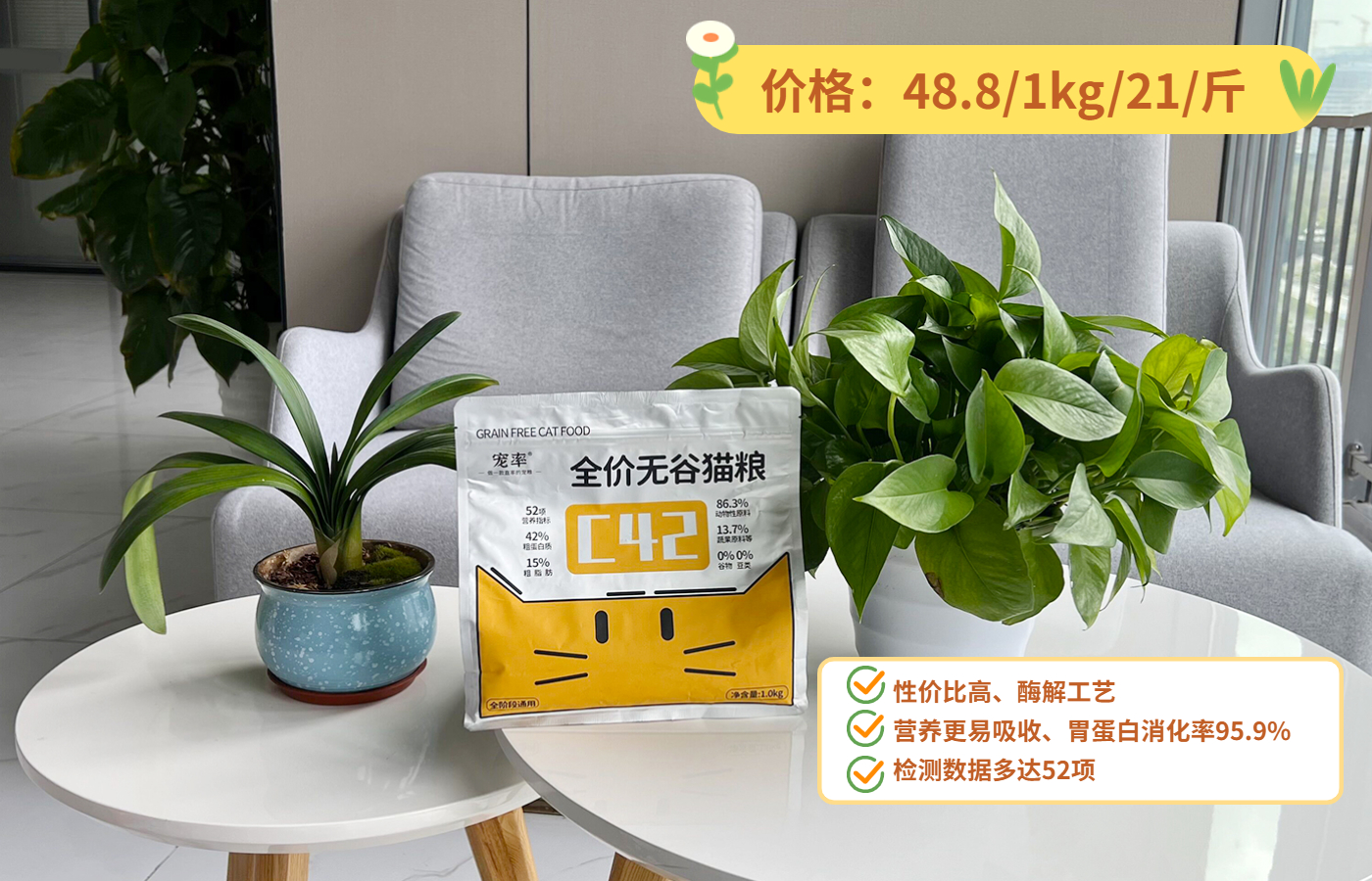 低智商猫的十大特征,高智商的猫都有哪些表现