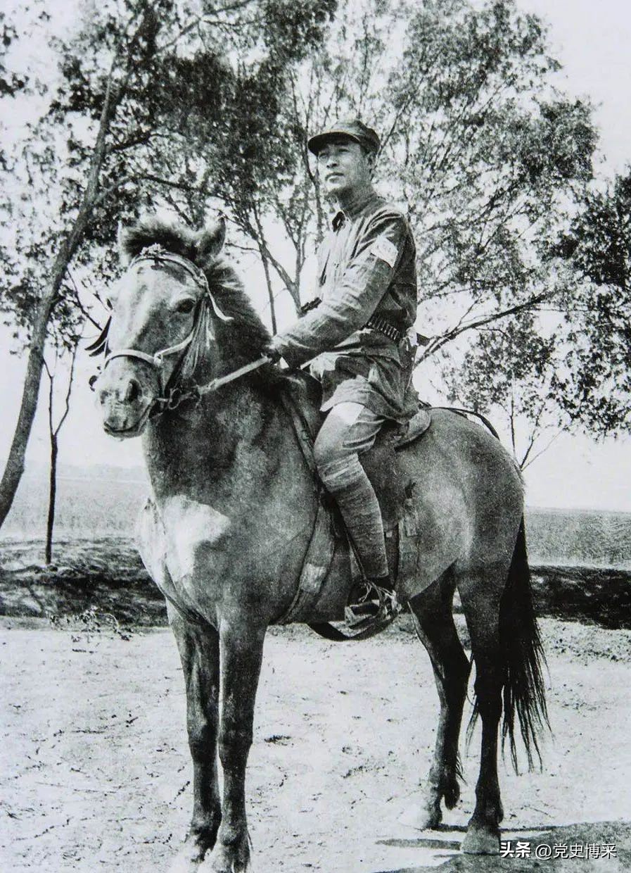 文武双全的彭雪枫，在嗜爱读书上和毛主席灵犀相通