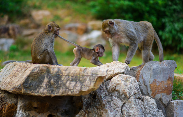 武汉城市印记之旅,探寻武汉的自然与人文之美