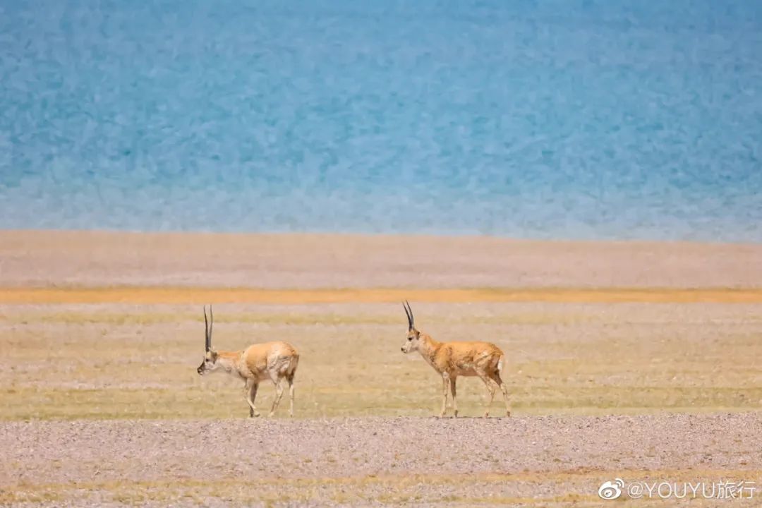 西藏小众旅行摄影,摄影必去的12个地方广州
