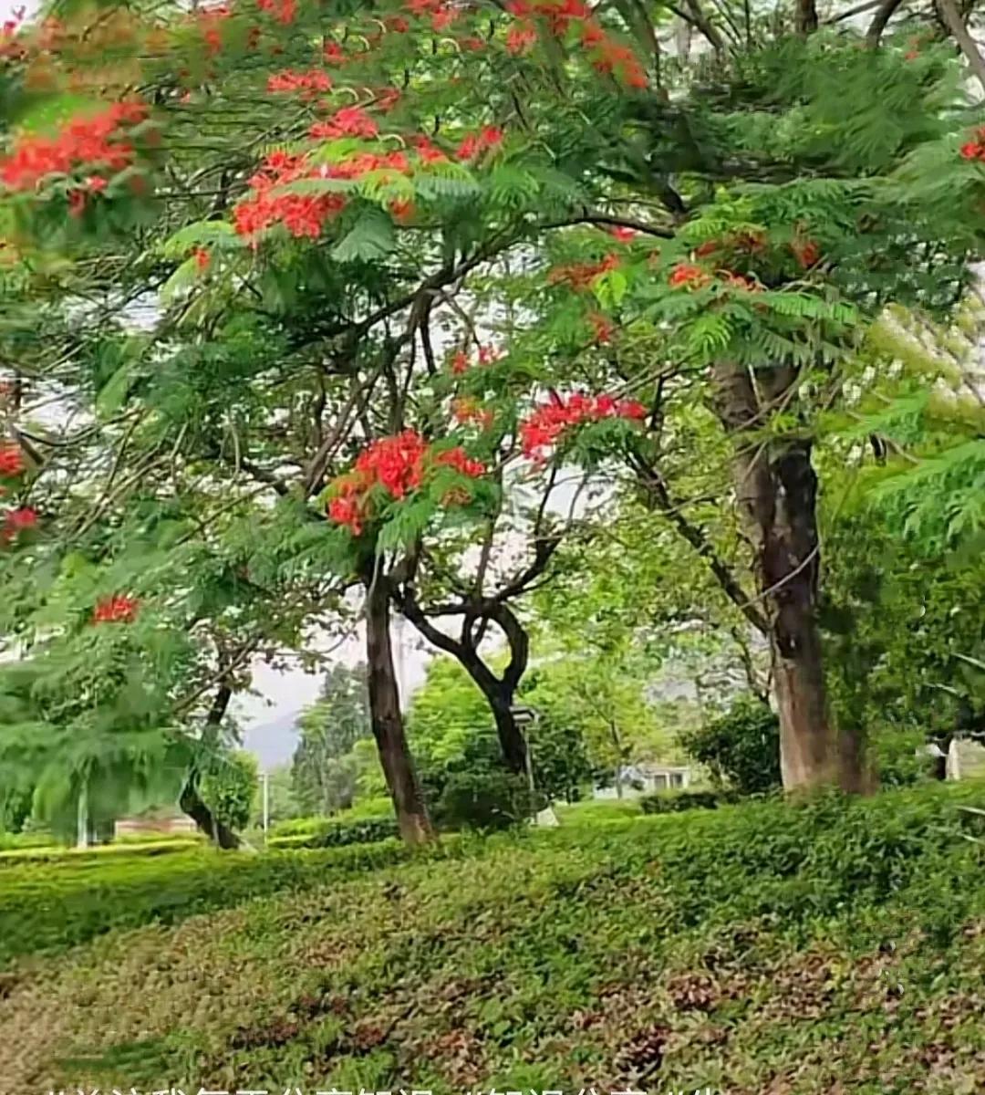 带你们了解一下轻资产创业模式,轻资产创业的十大思路