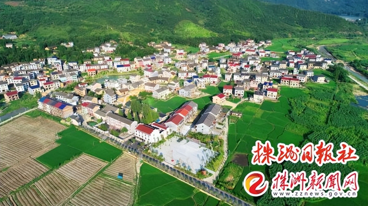 成龙吴京吃饭,赤伶舞教程完整版慢动作