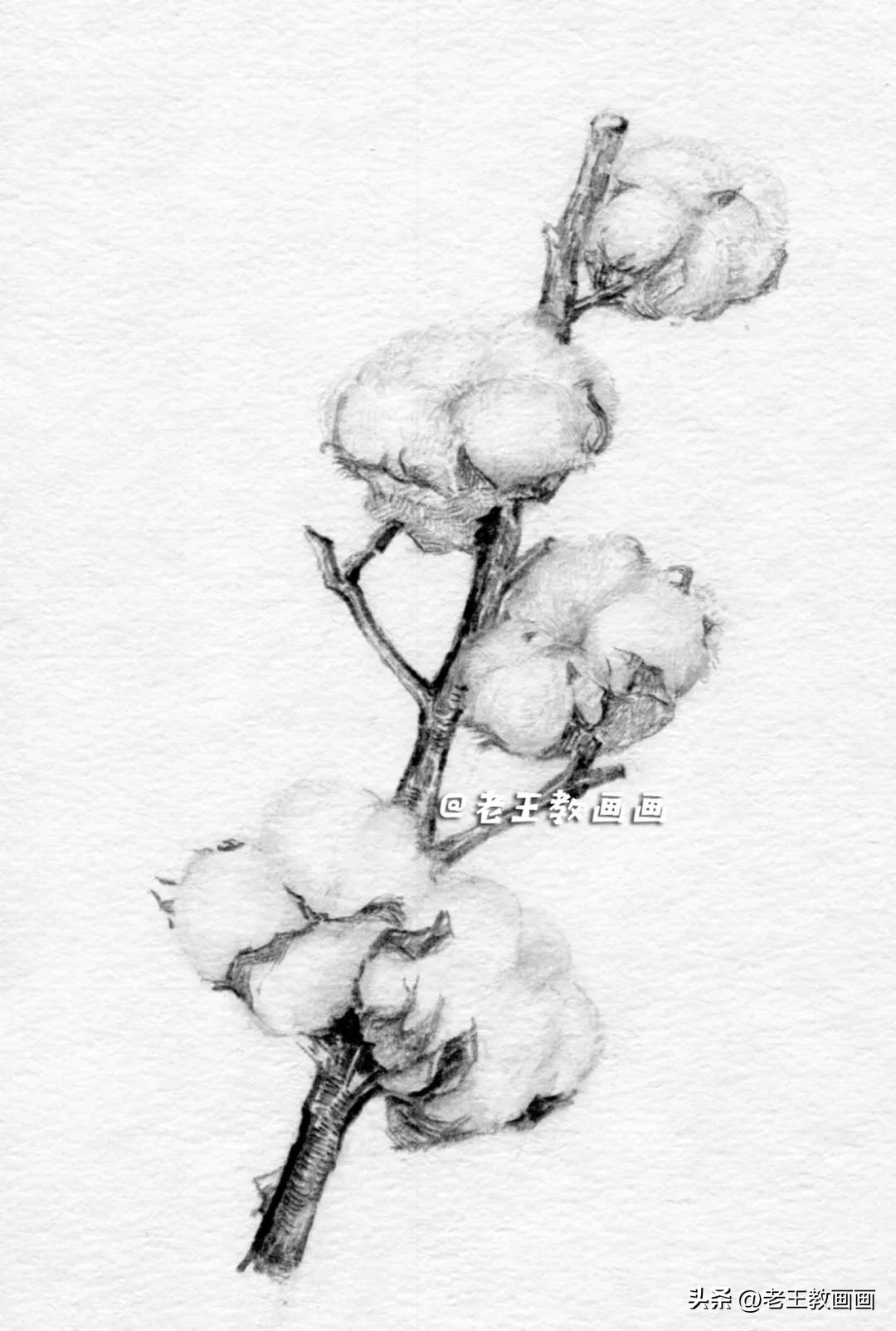 怎么画一个简单的棉花糖,苹果玉米棉花怎么画