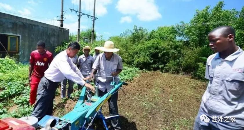 去非洲开农场，比挖金更赚钱？