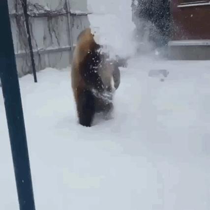 现在女大学生太开放,这么隐私的东西露在外面,男人看了都脸红了