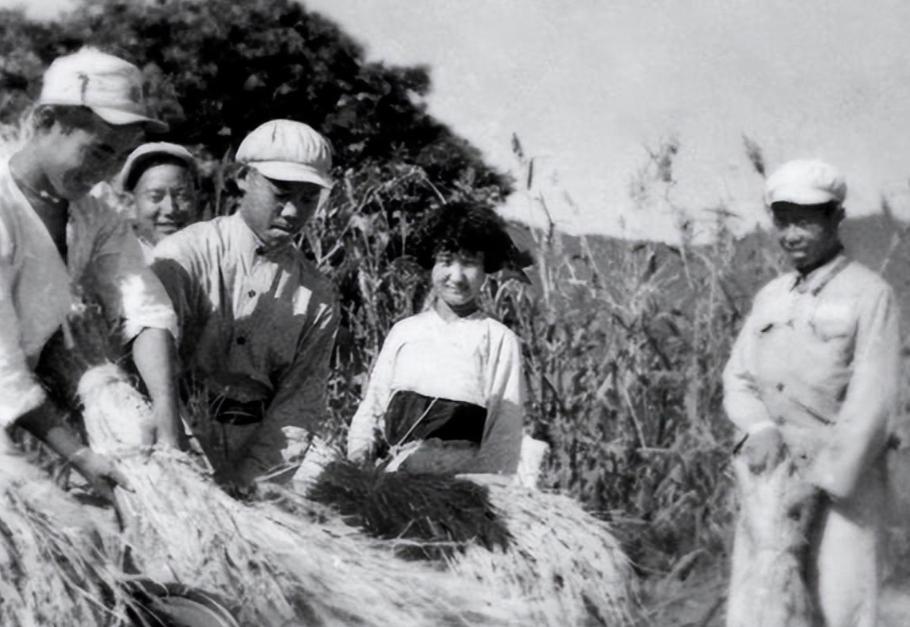 志愿军战后有多少人留在朝鲜,志愿军留了多少人在朝鲜