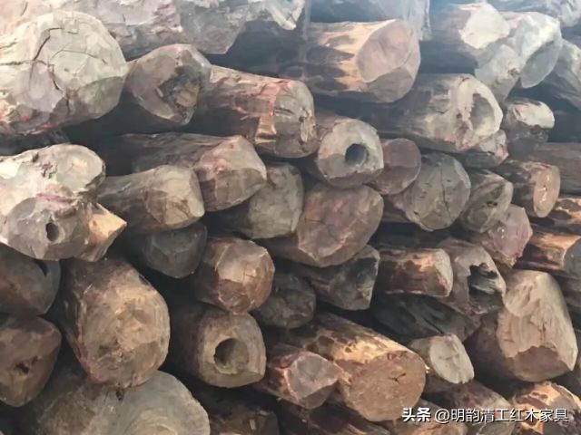 为什么血檀冒充小叶紫檀,为什么血橙那么便宜那么新鲜