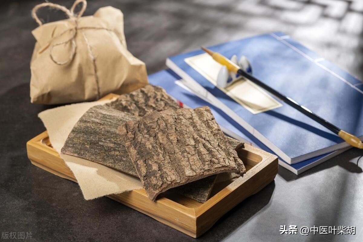 男人必看补肾方,张景明讲述补肾的方法