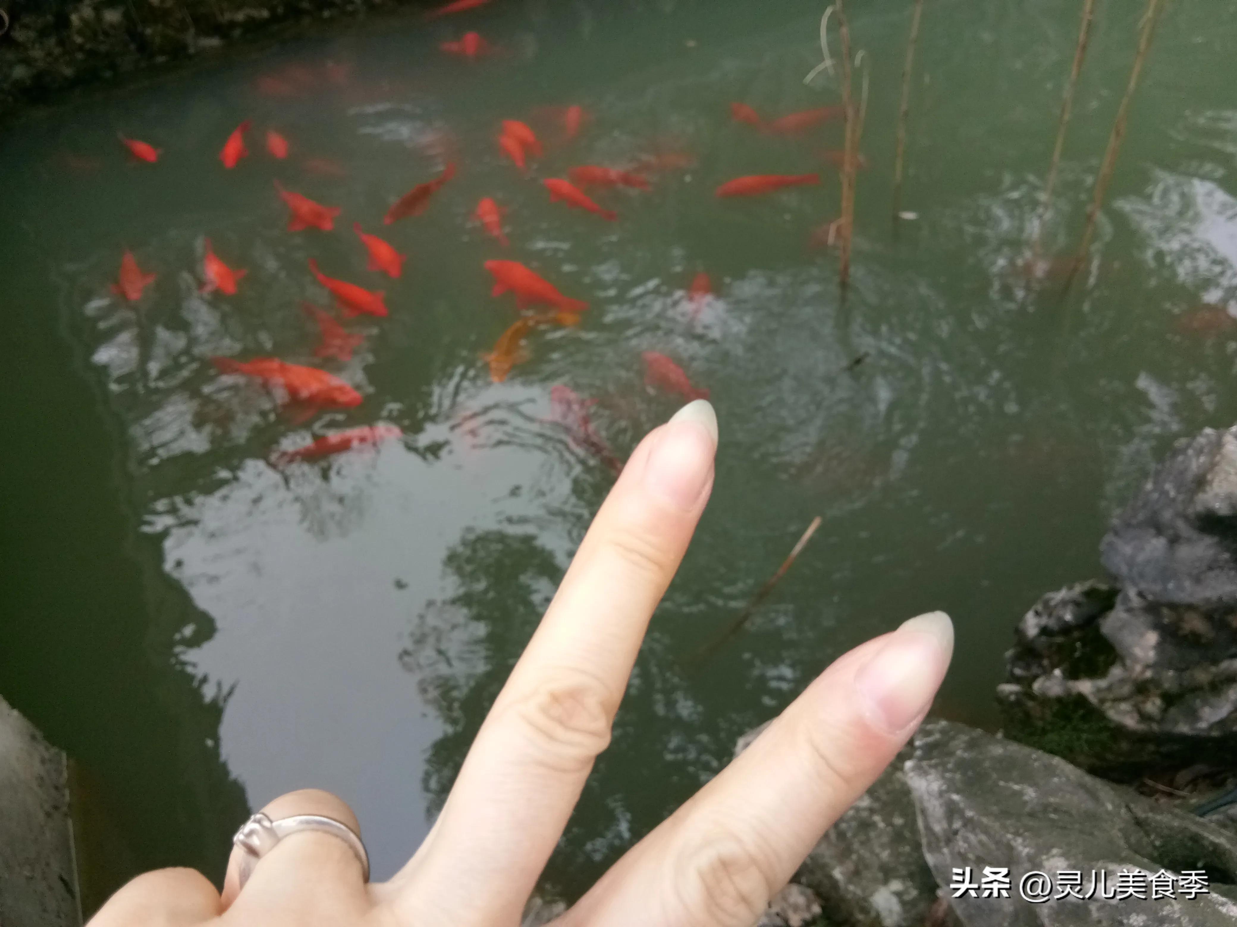 自驾皖南川藏线8天7晚，夫妻俩花费2千，美食美景苦乐尽收囊中