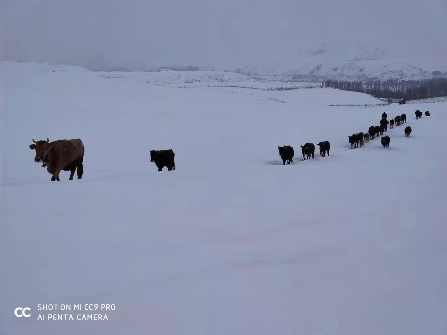 股票套牢后如何挽回,被套股票解套技巧
