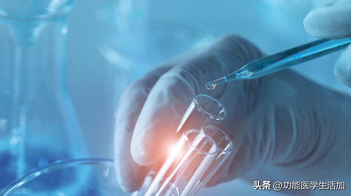 一文读懂念珠菌过度生长