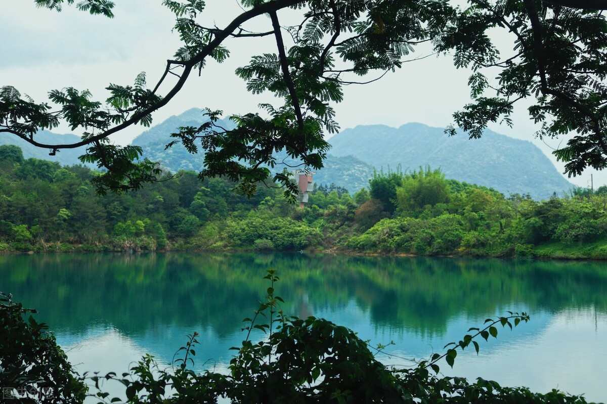 夜话完整版,夜话女声版