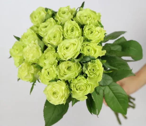 不同颜色的玫瑰花寓意送男生,各种颜色的玫瑰花代表的意思