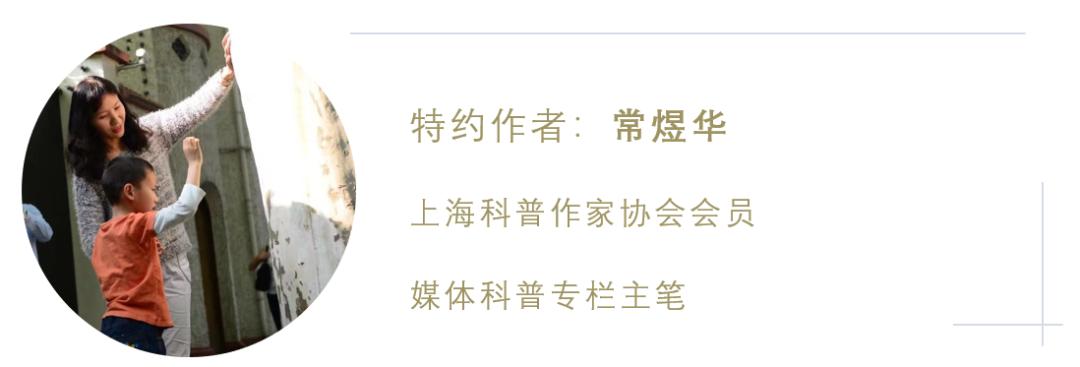 水培凤梨菠萝,菠萝水培最简单的方法