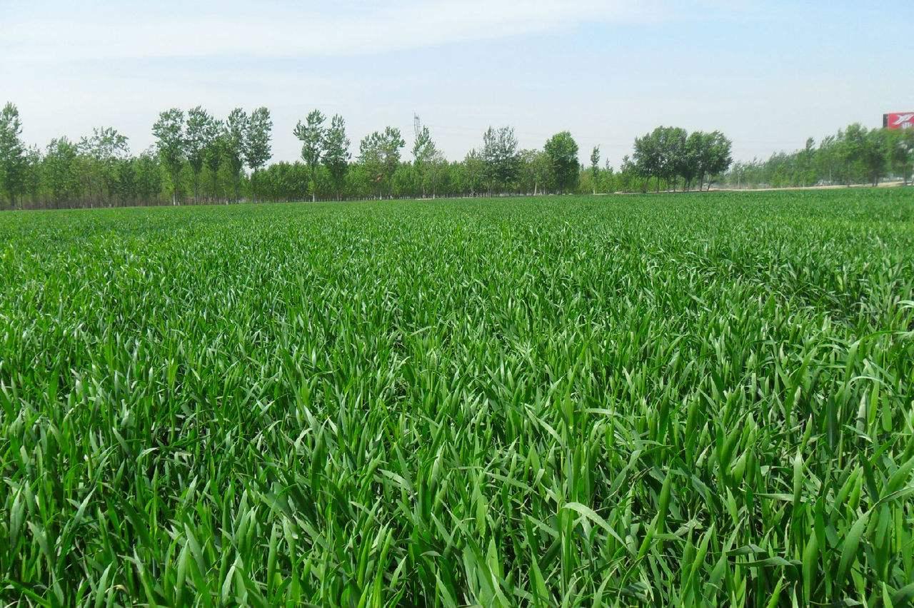 农业生态补偿机制,从生态效益说生态补偿的优缺点