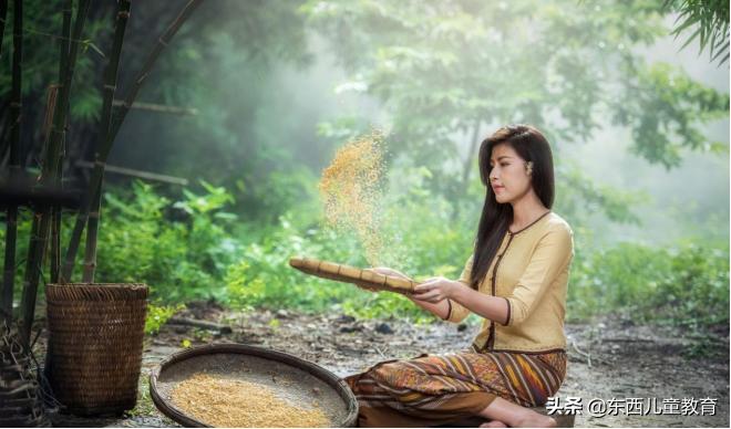 写一篇文言文知识归纳梳理,一篇文章学习文言文句型汇总