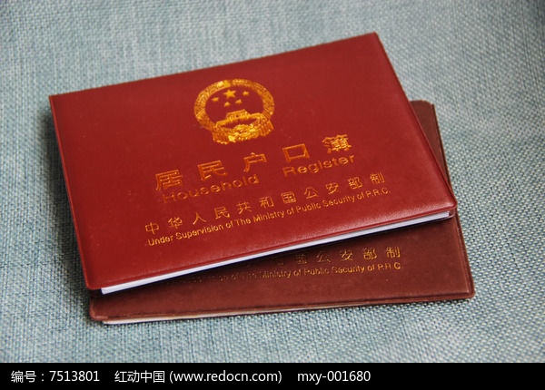 户籍制度改革实施统筹化落户政策,国务院推进户籍制度改革是哪一年