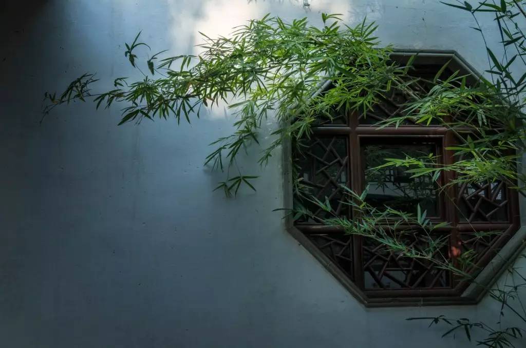 十首绝美夏天诗词,初夏最美十首诗词