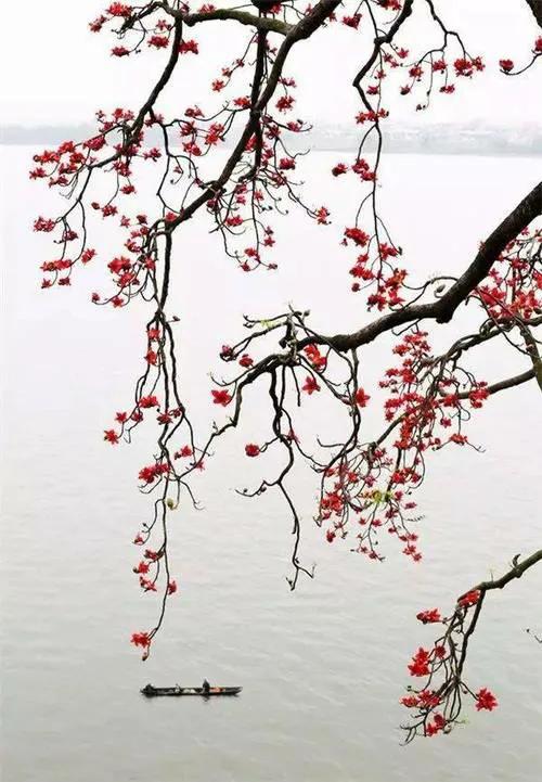 一天一首好诗词,一天一首古诗词佚名