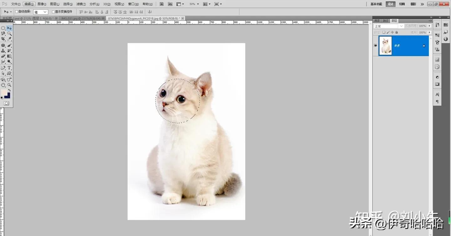 photoshopcs怎么做校园海报,photoshopcs6教学制作海报