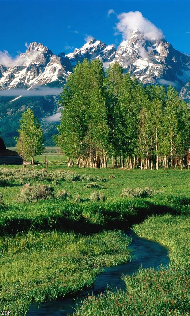 太美了100张人间美照,太美了最美中国红