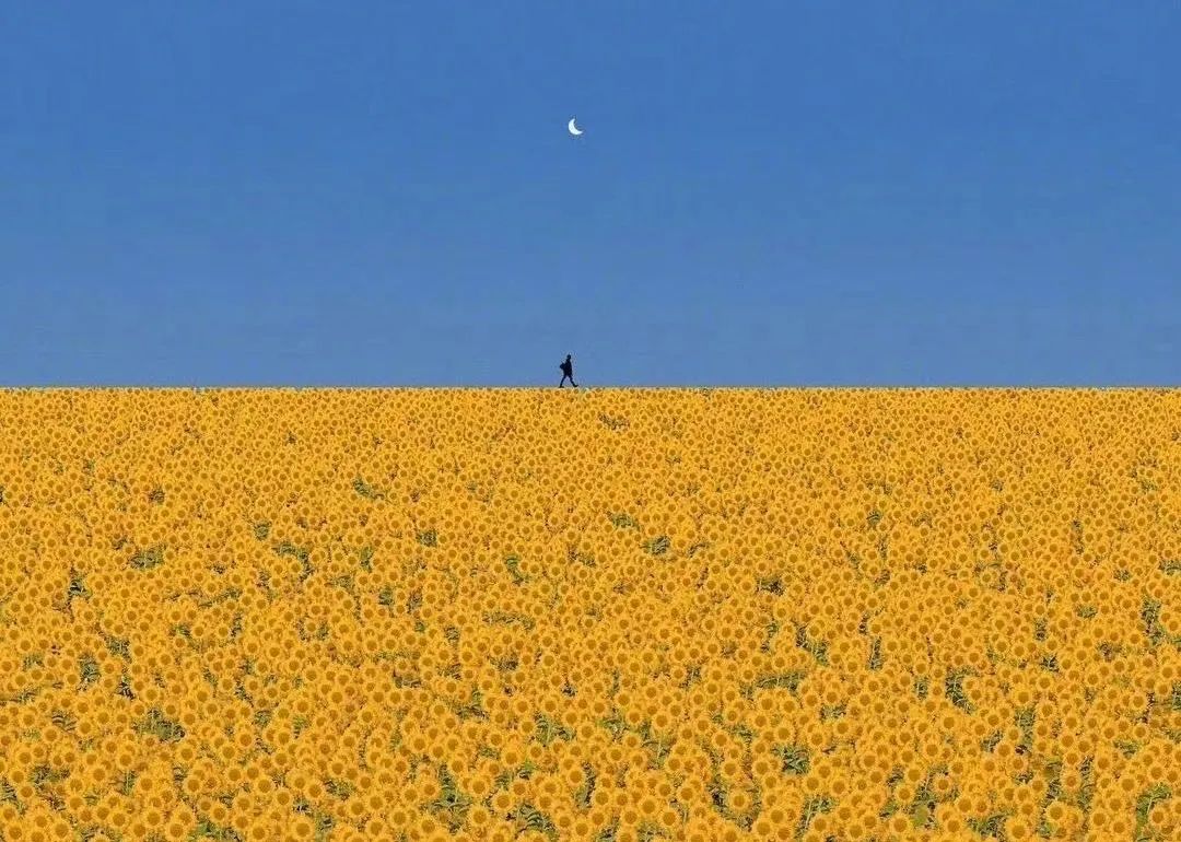 100篇必读经典书目,初中必读英语书目100本