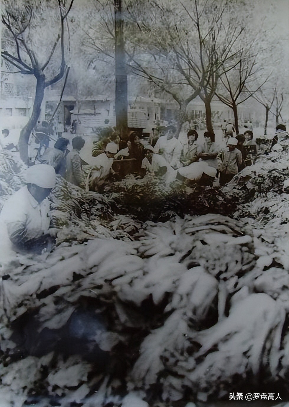 80年代沈阳老工厂大门照片,沈阳90年代铁西308大院老照片