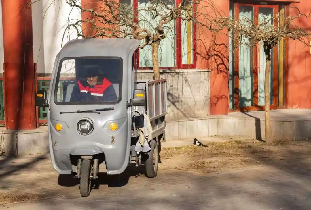 为啥乌鸦不敢招惹喜鹊,喜鹊凶猛