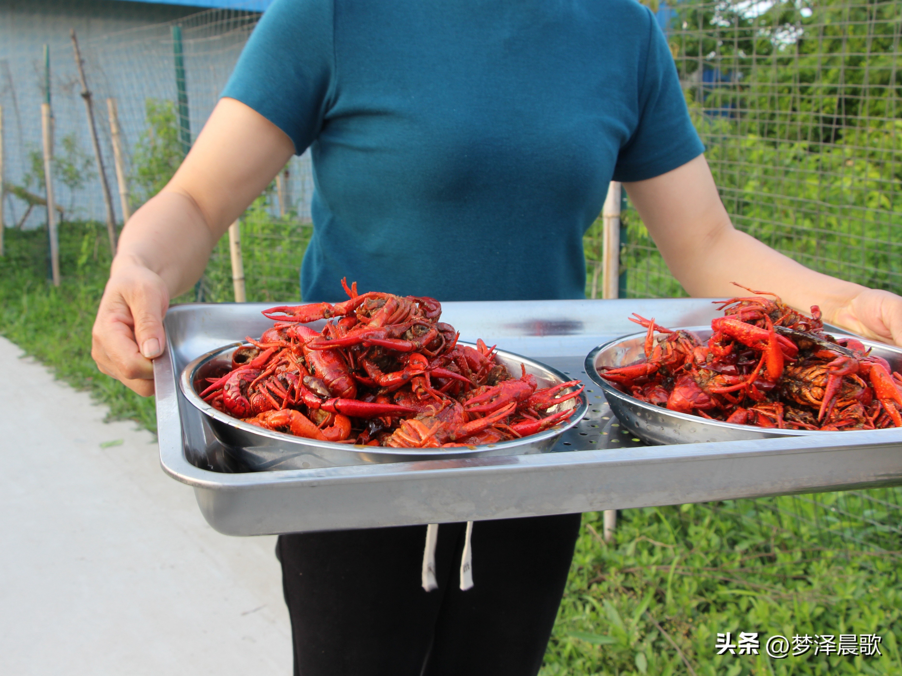 节日哪里去？醉美“伍湖四海”游人醉