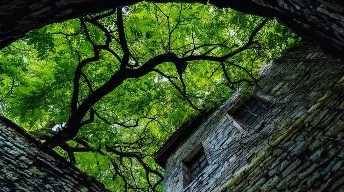 夏日纳凉诗词,描写纳凉的七绝诗