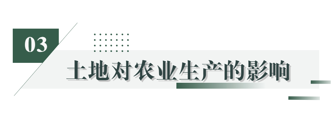 马其顿帝国的农业生产与粮食供应：技术、土地利用和农产品流通