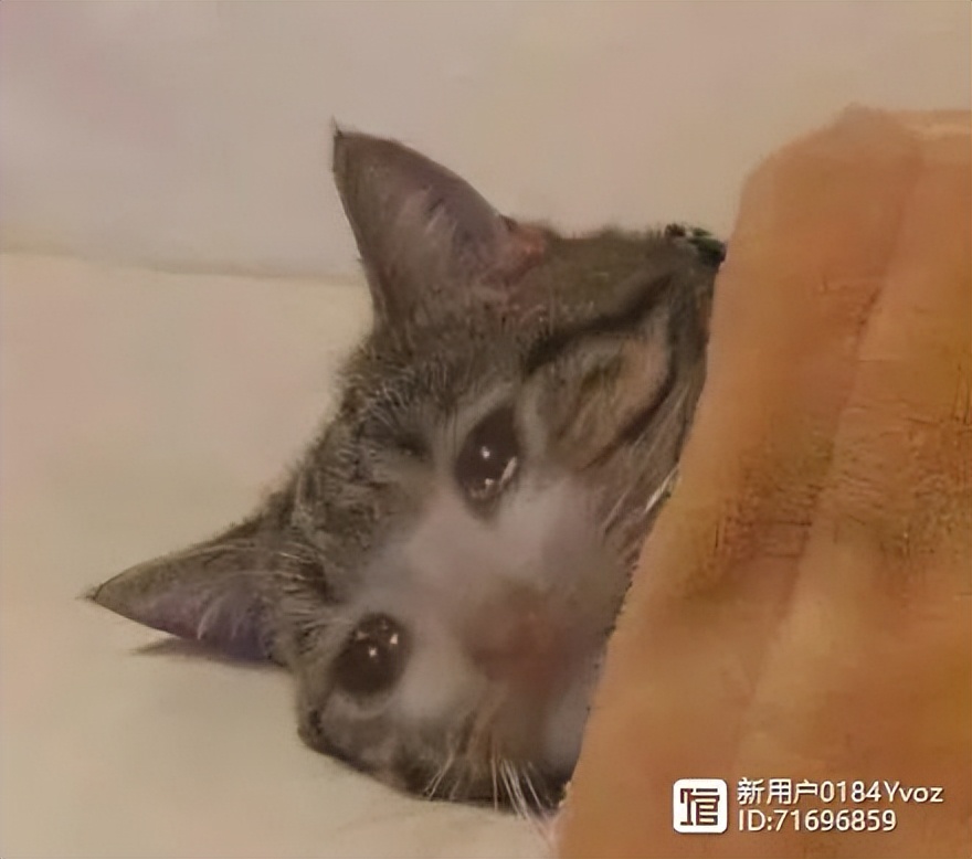 为什么说婚姻和爱情其实没有关系,婚姻和爱情真的很难并存吗