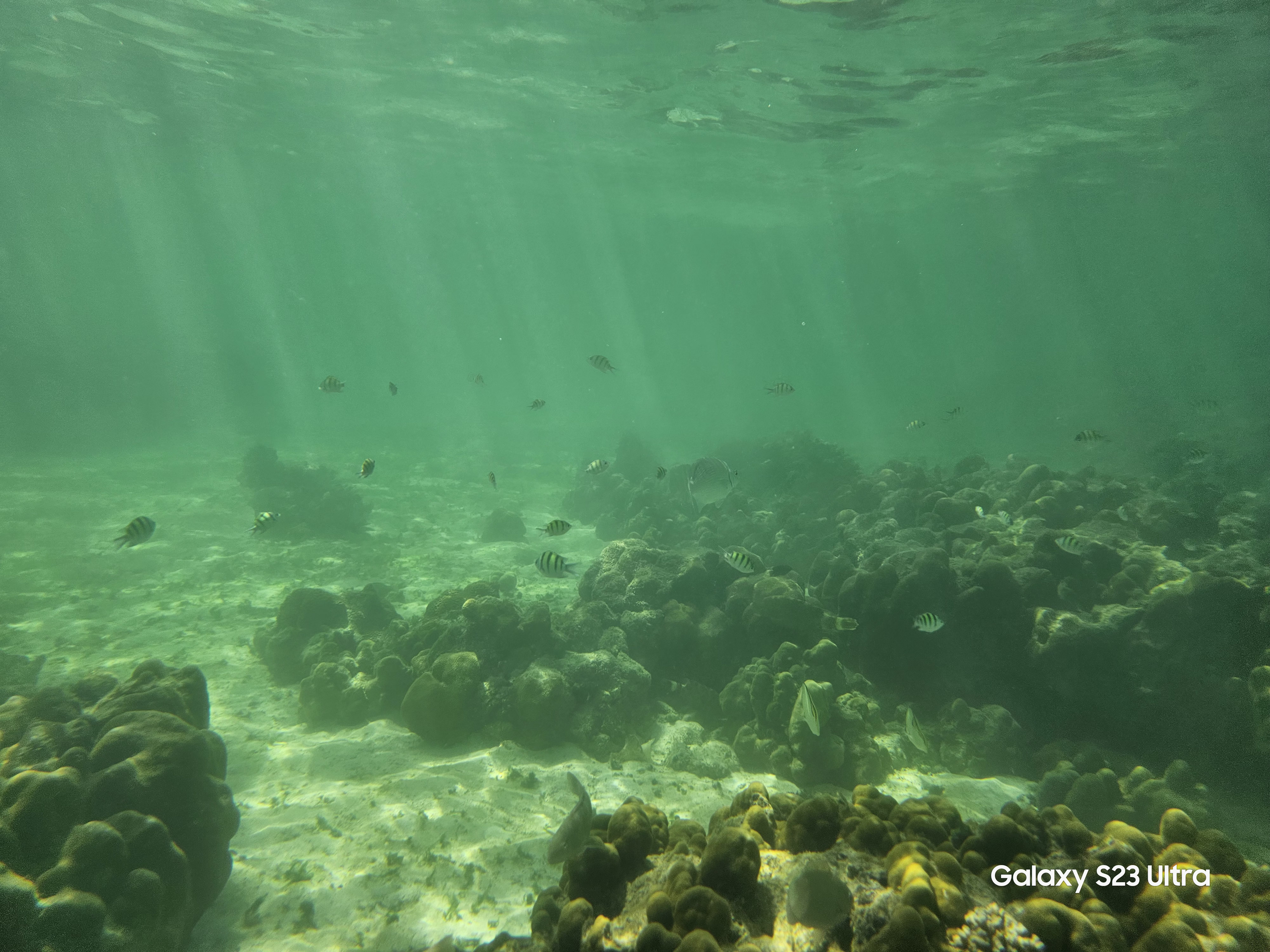 带GalaxyS23Ultra游泰国：随手记录星辰大海