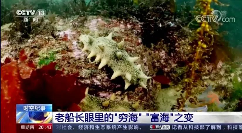 央视东方时空纪录片,央视新闻纪录片东方时空