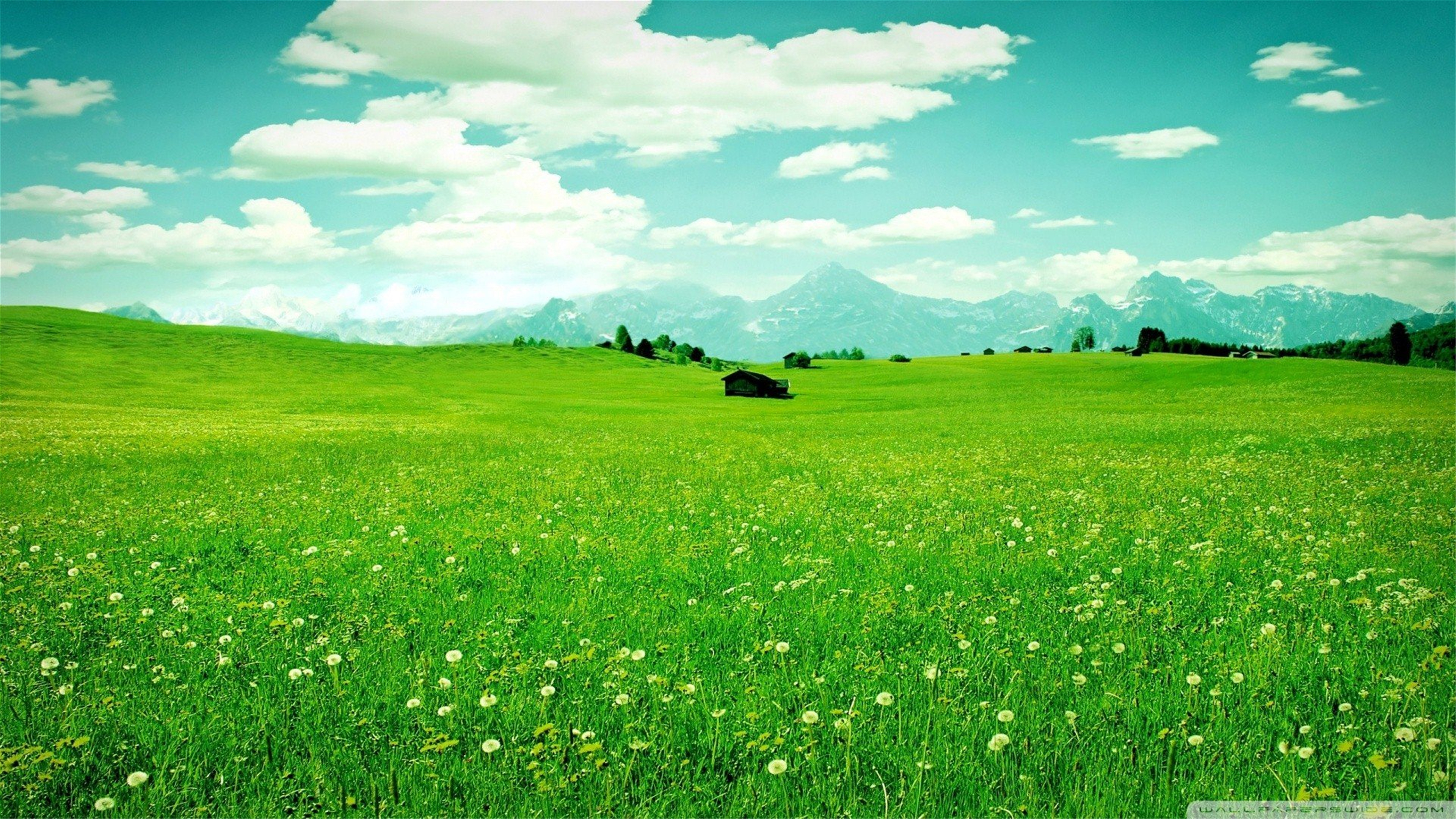 高清壁纸青青草原3840×2160