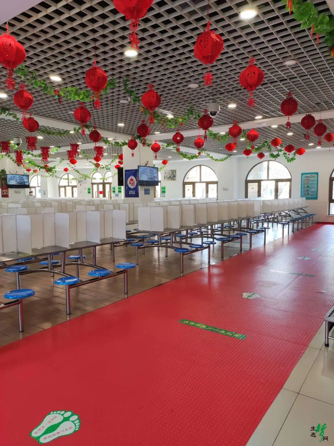 生态城小外小学部好吗,滨海小外小学食堂