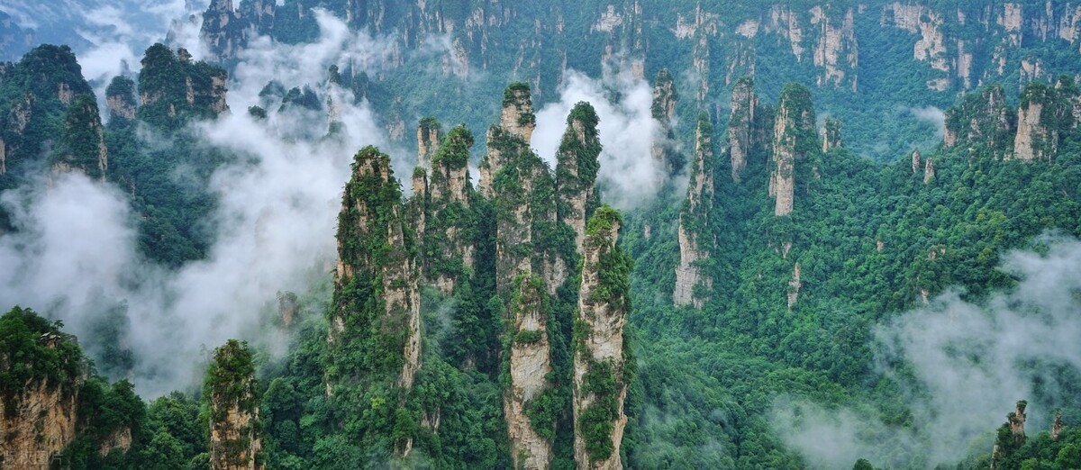 中国最好的茶叶旅游线路,浙江自驾游看茶叶路线