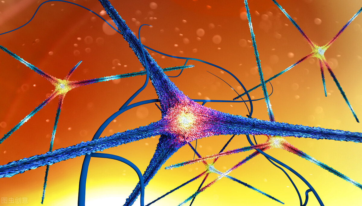 改善糖尿病患者微循环的中药,改善糖尿病腿部微循环的药