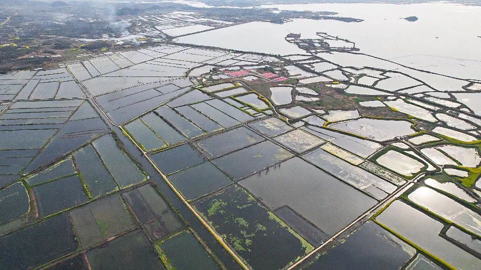 鄂州泽林镇新闻,鄂州泽林镇最新规划