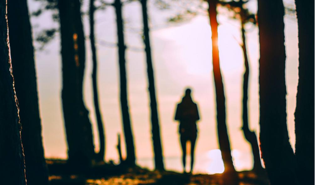 愿你努力向上光芒万丈的英语,愿你努力向上光芒万丈