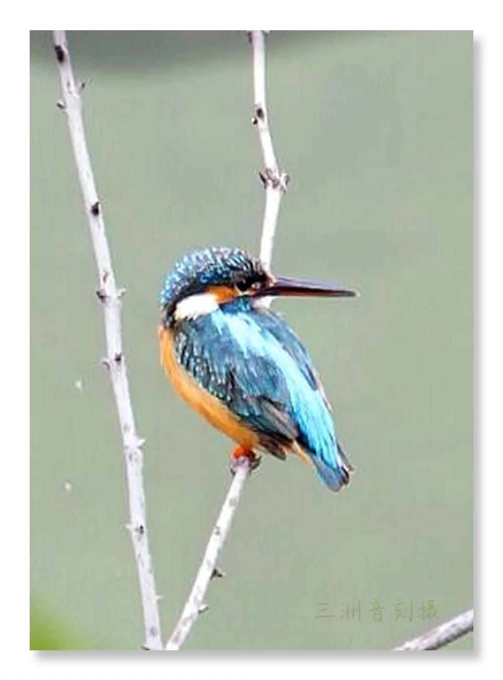 上海市嘉定区安亭国际汽车城,上海嘉定安亭国际汽车城