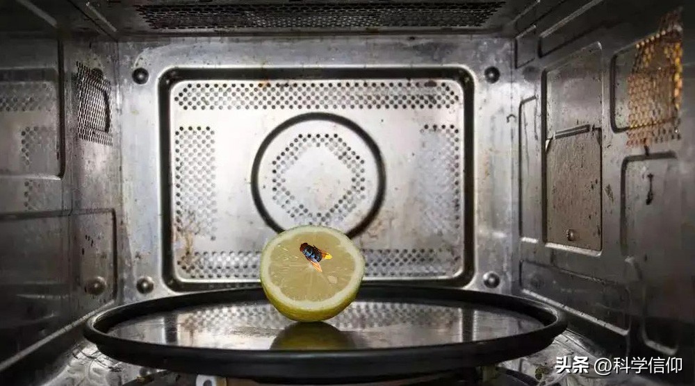 微波炉几分钟杀病菌,杀灭蚊蝇最好方法