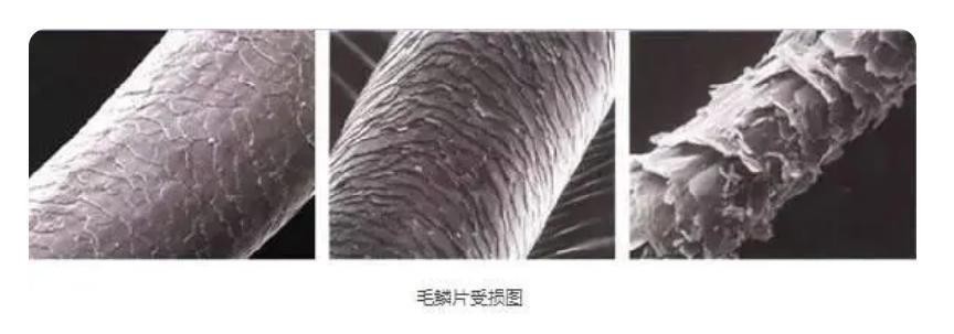 吹风机吹热风有什么危害吗,吹风机热风吹脖子有危害吗