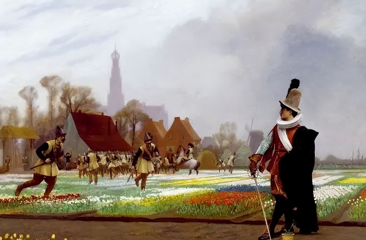 郁金香泡沫对于荷兰有何影响,荷兰郁金香泡沫最大的赢家是谁